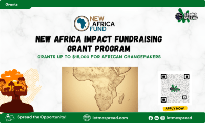 Calling for New Africa Impact Fundraising Grant Program Apply Now