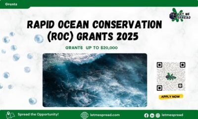 Rapid Ocean Conservation (ROC) Grants 2025 Apply for Up to $20,000 in Marine Conservation Funding