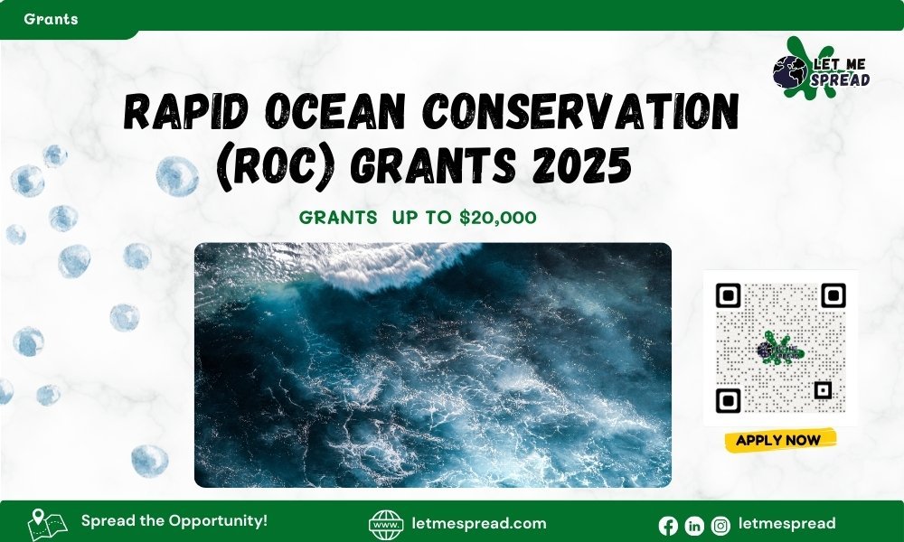 Rapid Ocean Conservation (ROC) Grants 2025 Apply for Up to $20,000 in Marine Conservation Funding